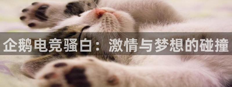 MK电竞电竞网站是多少：企鹅电竞骚白：激