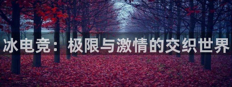 MK电竞电竞和泛亚电竞哪个好：冰电竞：极