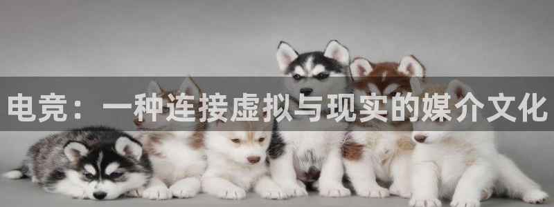 MK电竞电竞平台app下载