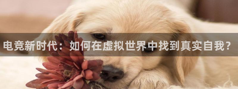 MK电竞电竞竞猜appios：电竞新时代