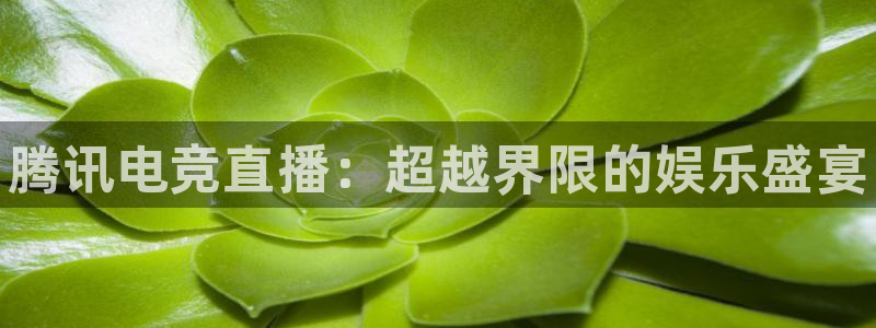 MK电竞电竞进不去：腾讯电竞直播：超越界