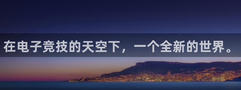 MK电竞电竞平台官网：在电子竞技的天空下