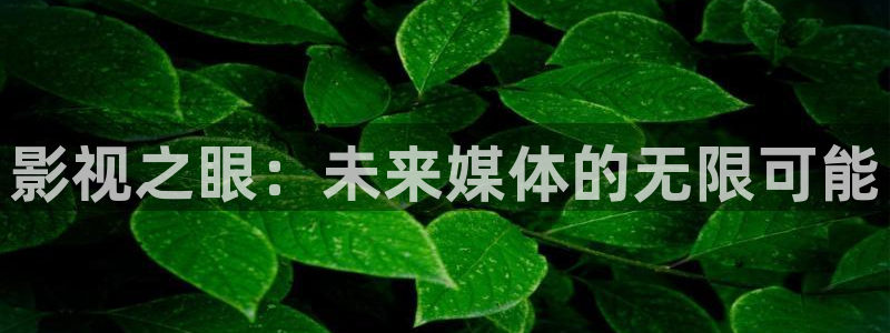 丝瓜视频下：影视之眼：未来媒体的无限可能
