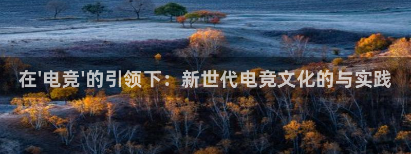 MK电竞电竞平台官网入口：在\'电竞\'