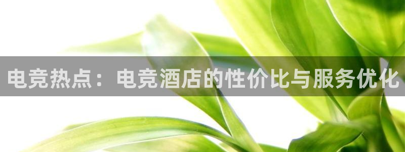 MK电竞电竞平台官网入口：电竞热点：电竞酒店的性价比与服务优化
