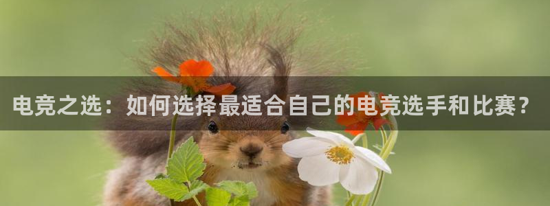 MK电竞电竞怎么下载：电竞之选：如何选择