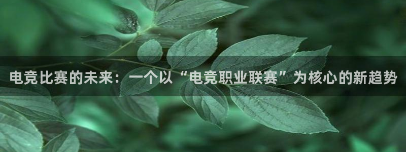 MK电竞电竞会员日：电竞比赛的未来：一个