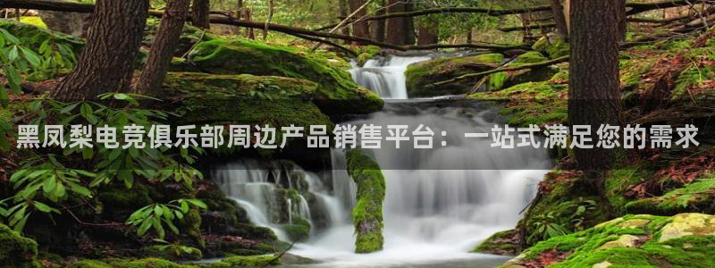 MK电竞电竞平台app下载：黑凤梨电竞俱